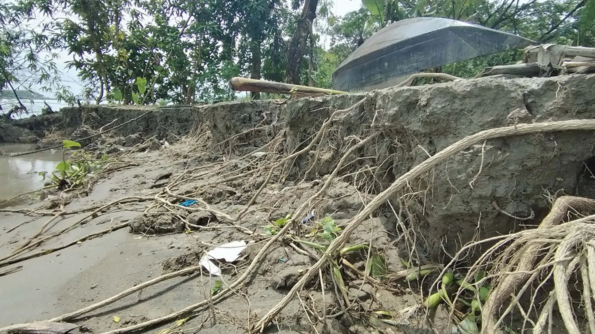 ঝালকাঠিতে সুগন্ধার ভয়াবহ ভাঙনে বসতবাড়ি হারাচ্ছে মানুষ
